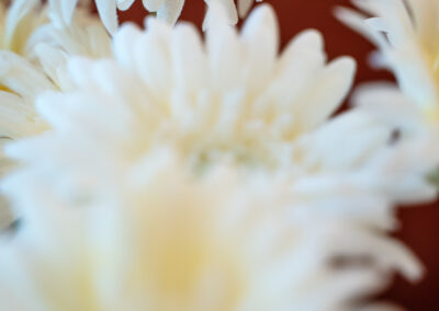 Doppelzimmer Komfort